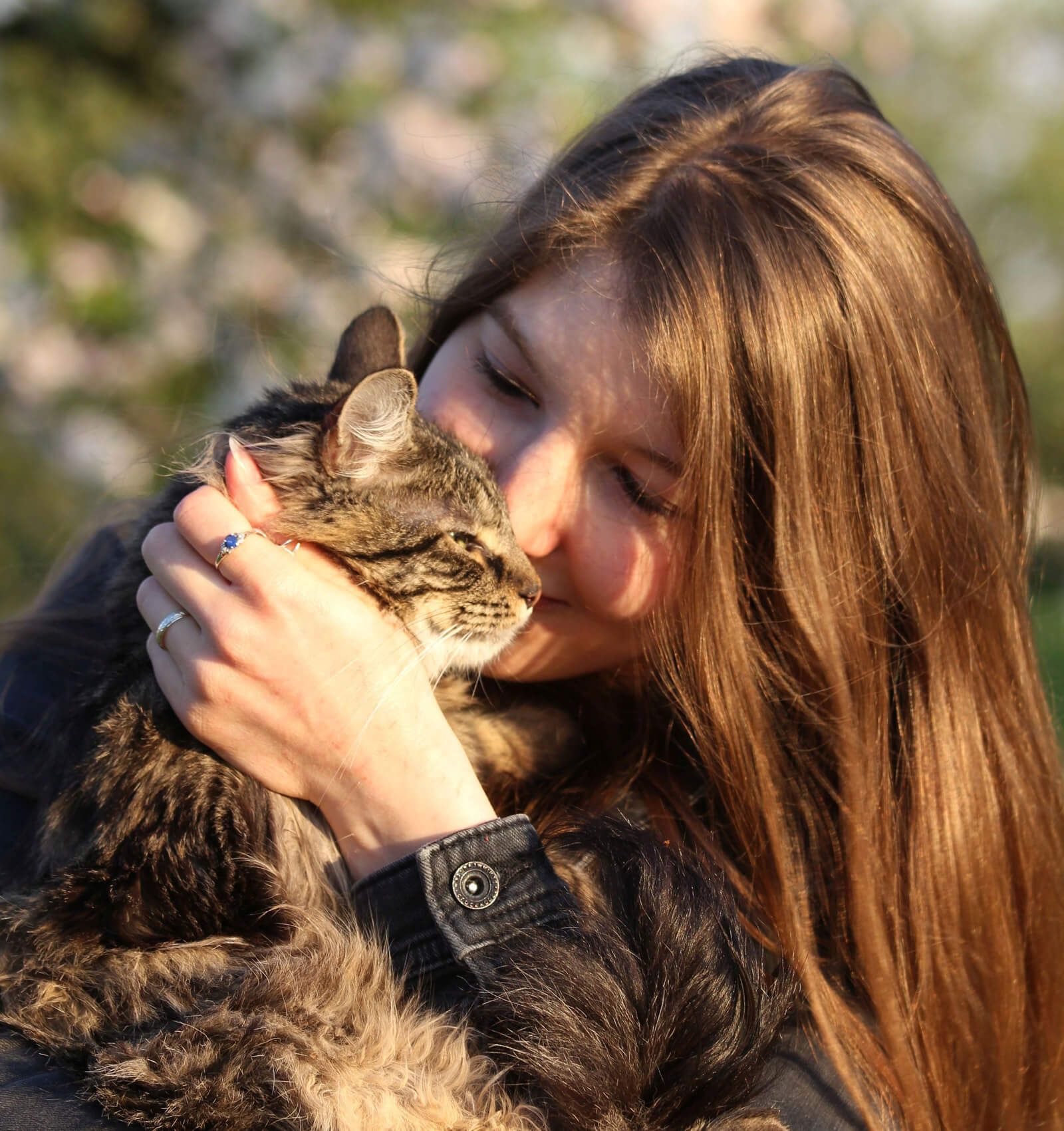 Karin, Gestaltung & Fotografie