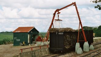 Schmalspur · Zuckerrohr­transport · Verladestation Dominikanische Republik · Dezember 1993